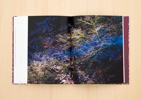 小林卓哉写真集『桜を結ぶ』