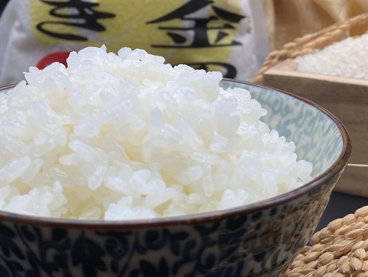 令和6年産<選べるお届け期間定期便>飛騨コシヒカリ「黄金の煌 令和6年産<選べるお届け期間定期便>飛騨コシヒカリ「黄金の煌