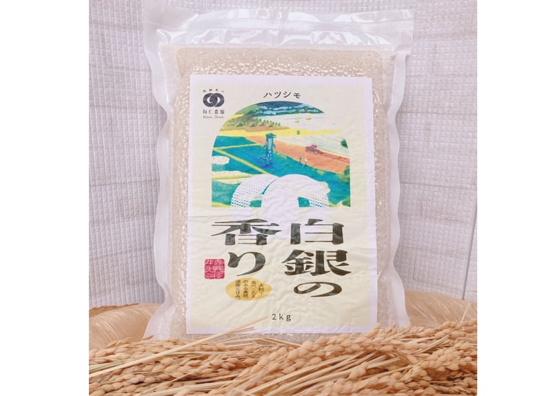 令和5年産 岐阜のお米 ハツシモ 玄米20キロ