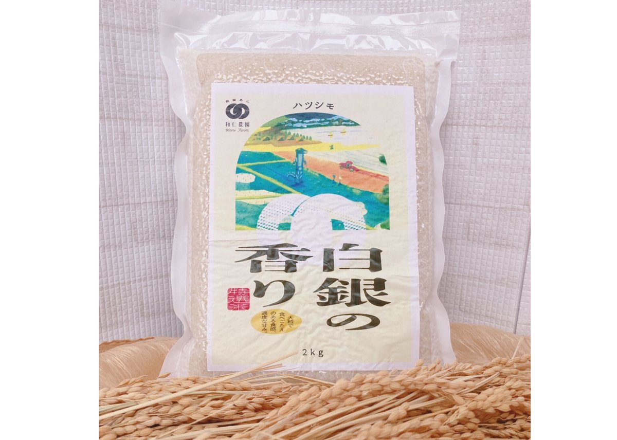 令和5年 岐阜ハツシモ 玄米30k 希少