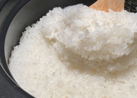 令和7年産　飛騨コシヒカリ　黄金の煌き　2kg（真空パック）