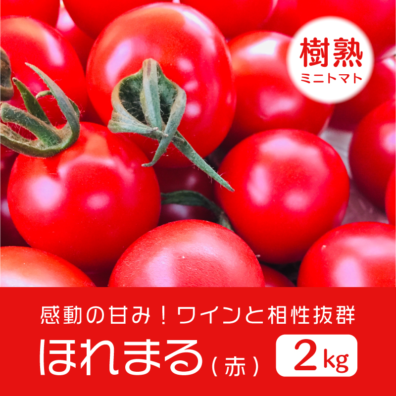 ITEM | 北海道岩見沢 ミニトマト農家 『ファーム雫's STORE