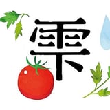 北海道岩見沢 ミニトマト農家 『ファーム雫's STORE』 オンラインショップ
