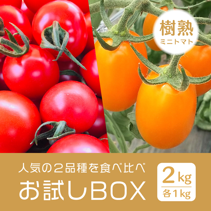 北海道岩見沢 ミニトマト農家 『ファーム雫's STORE』 オンラインショップ