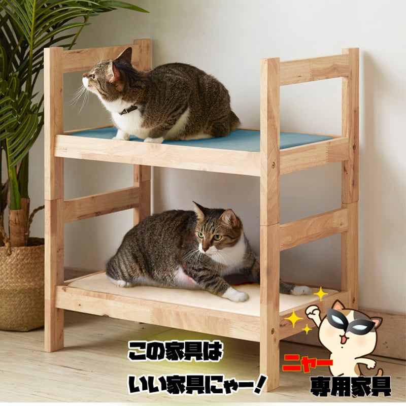 ネコ家具 幅60cm ペットベッド CAT HUS | Interior Festa