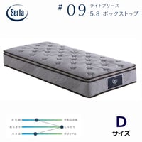 【正規代理店】サータ ライトブリーズ 5.8 BOX-T ダブルサイズ
