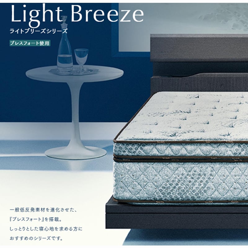 正規代理店】サータ ライトブリーズ 5.8 BOX-T パーソナルシングル