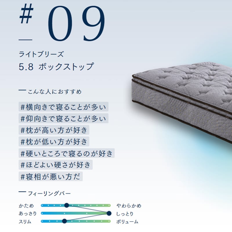 正規代理店】サータ ライトブリーズ 5.8 BOX-T パーソナルシングル