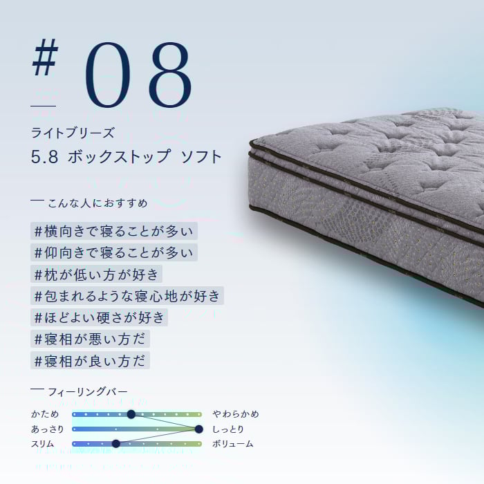 正規代理店】サータ ライトブリーズ 5.8 BOX-T ソフト キングサイズ