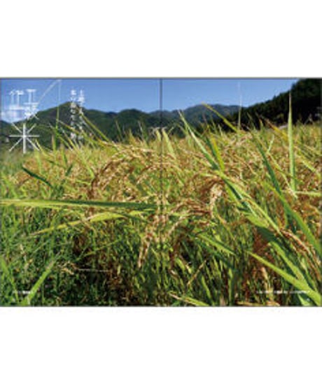 そう68号「毛」 2020年9月10日発売