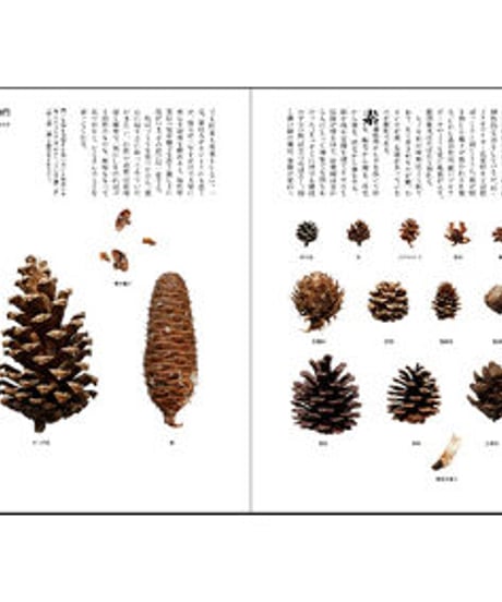 そう62号「門」 2019年3月10日発売