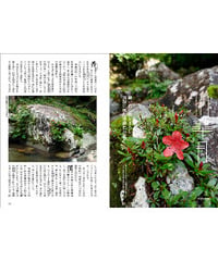川皐月（閲覧用PDFファイル）