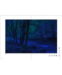 夜の川 蛍（閲覧用PDFファイル）
