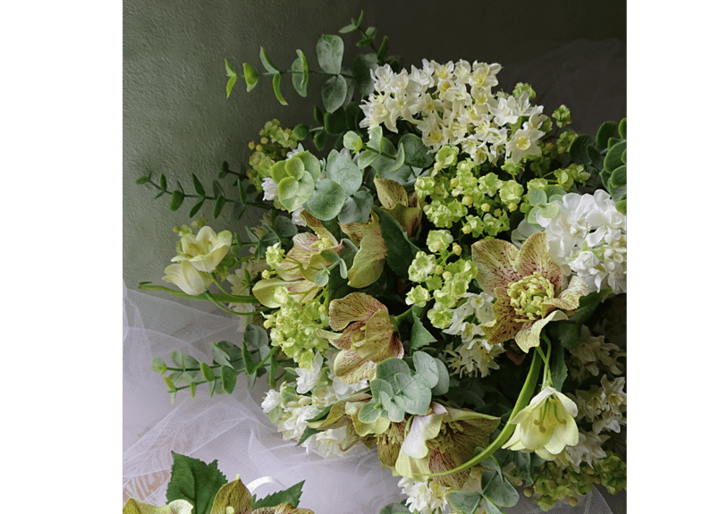 クリスマスローズページ 楽天市場】【現品】クリスマスローズ ダブル咲き ゴールド