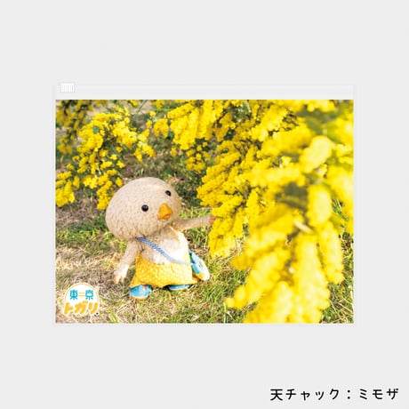おきがえコレクション：ししゅうズボン（2026 春）