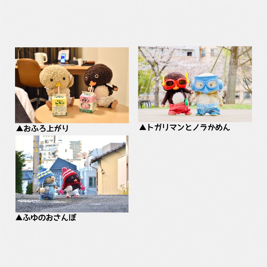 63c633055ff423518882667b