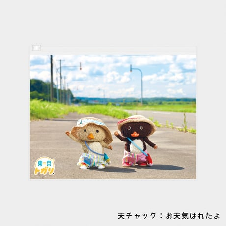 ミニ傘＆てるてるぼずくん セット