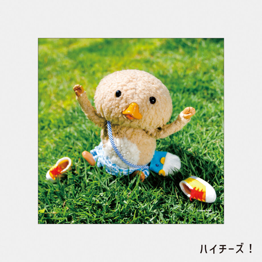 6a79bf8ca4992213914f1f45