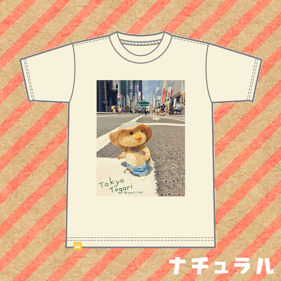 6854d095c4153f1324fed9f0