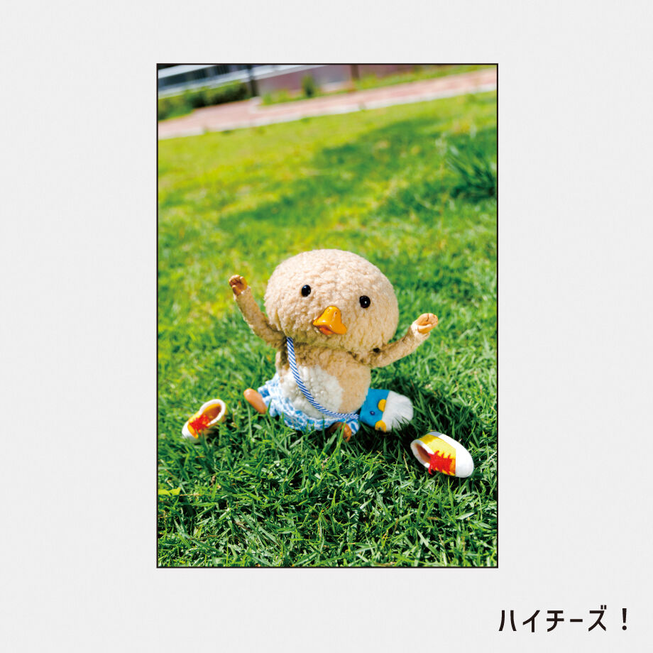 6a79b59456efca12f37a8051