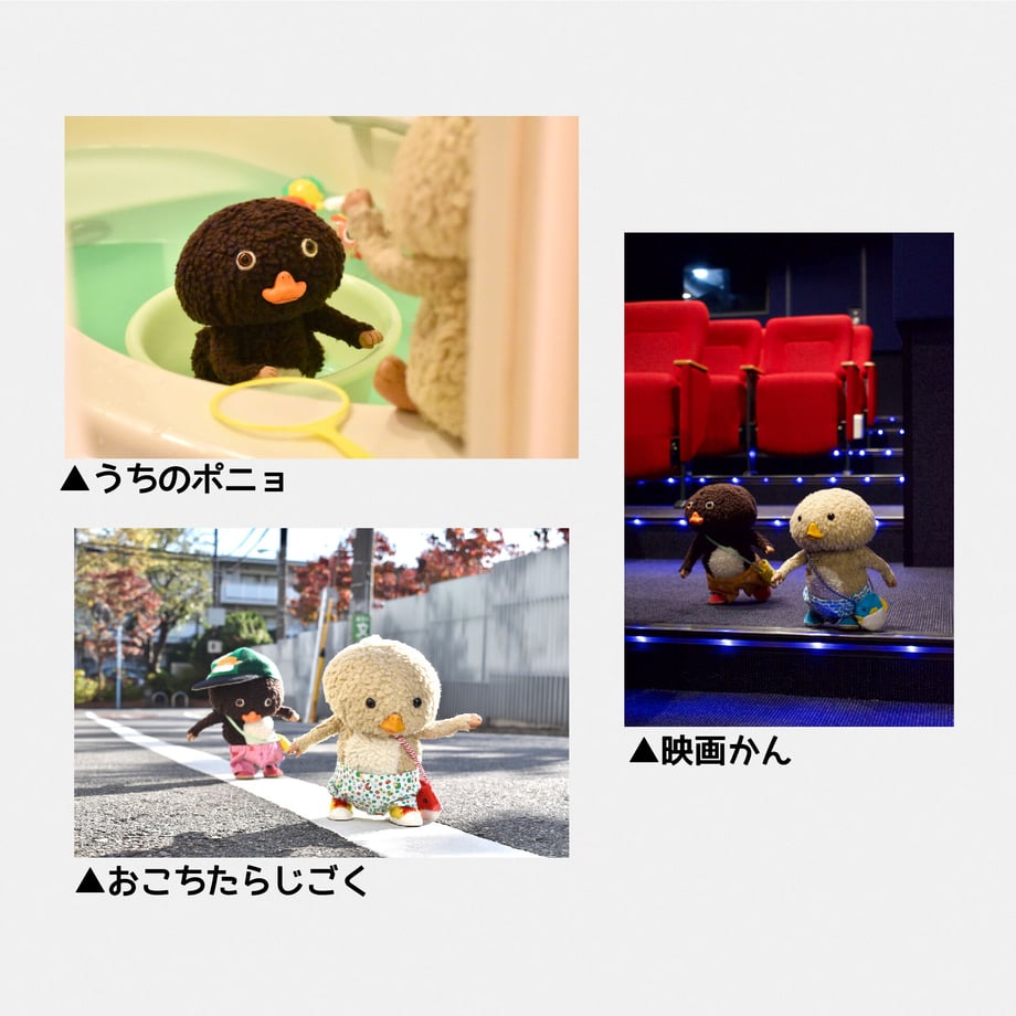 63c633055ff423518882667b