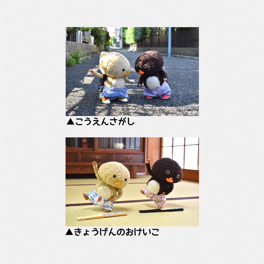 63c633055ff423518882667b
