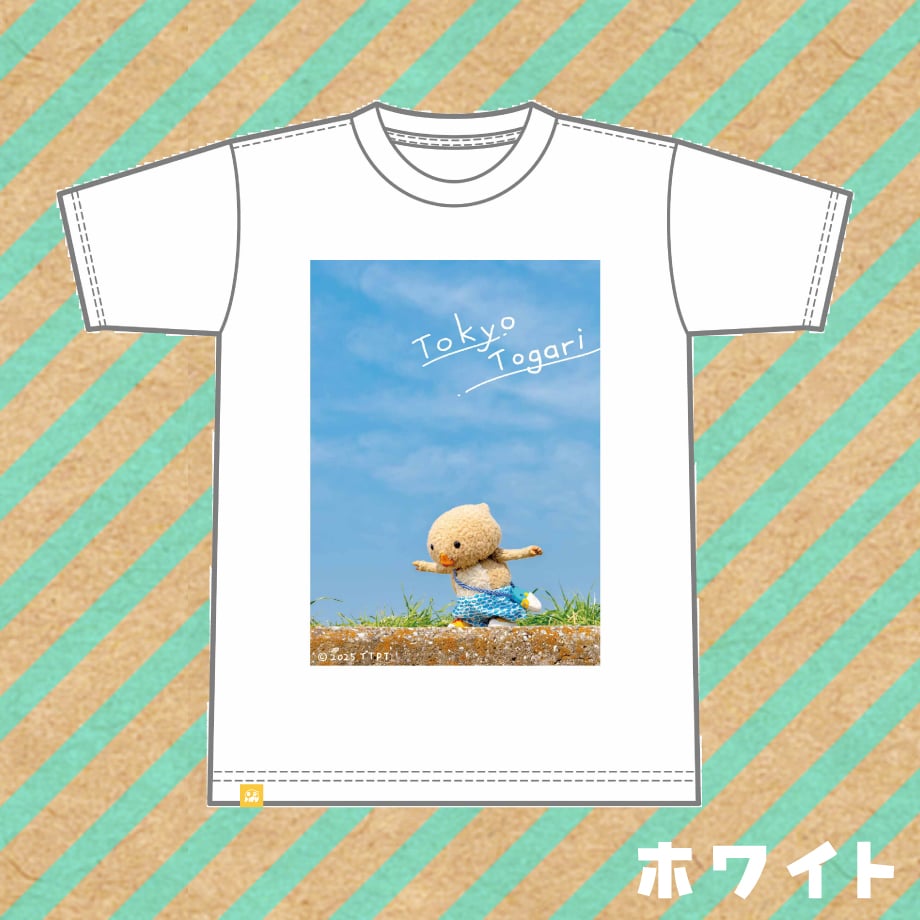 1% Tシャツ　アイボリー2025年SS 新品タグ付 セブンフェアリー 2025 summer] EFFECTEN / In the end & Colorless s/s Tee
