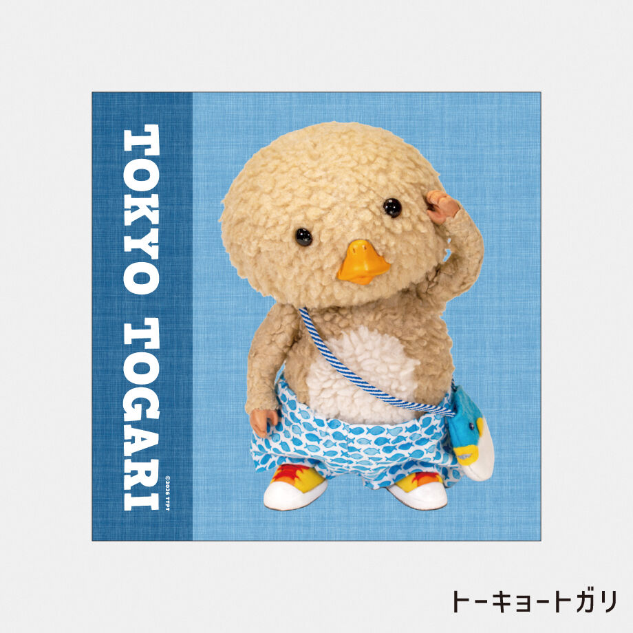 6a79bf8ca4992213914f1f45