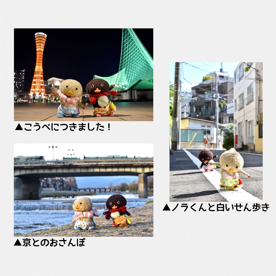 63c633055ff423518882667b