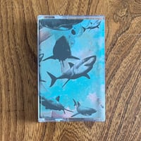 Empty Moon-The Shark(CS)