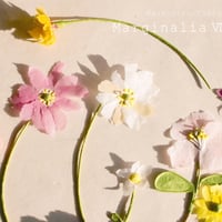高木正勝 - Marginalia ⅷ(LP)