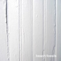 Beach Fossils - S/T(CS)