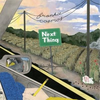 Frankie Cosmos - Next Thing【10周年記念盤】 Record Store Day UK / Fools Gold Vinyl