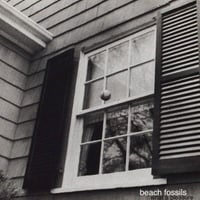 Beach Fossils - What a Pleasure (LP)