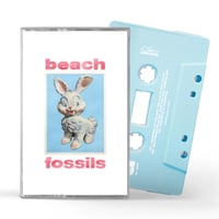 Beach Fossils - Bunny(CS)