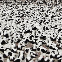 わがつま 「第1集」LPアナログレコード わがつま 「第1集」LPアナログレコード - メルカリ