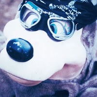 入手困難【LP】Who Do You Love? フー・ドゥー・ユー・ラブ