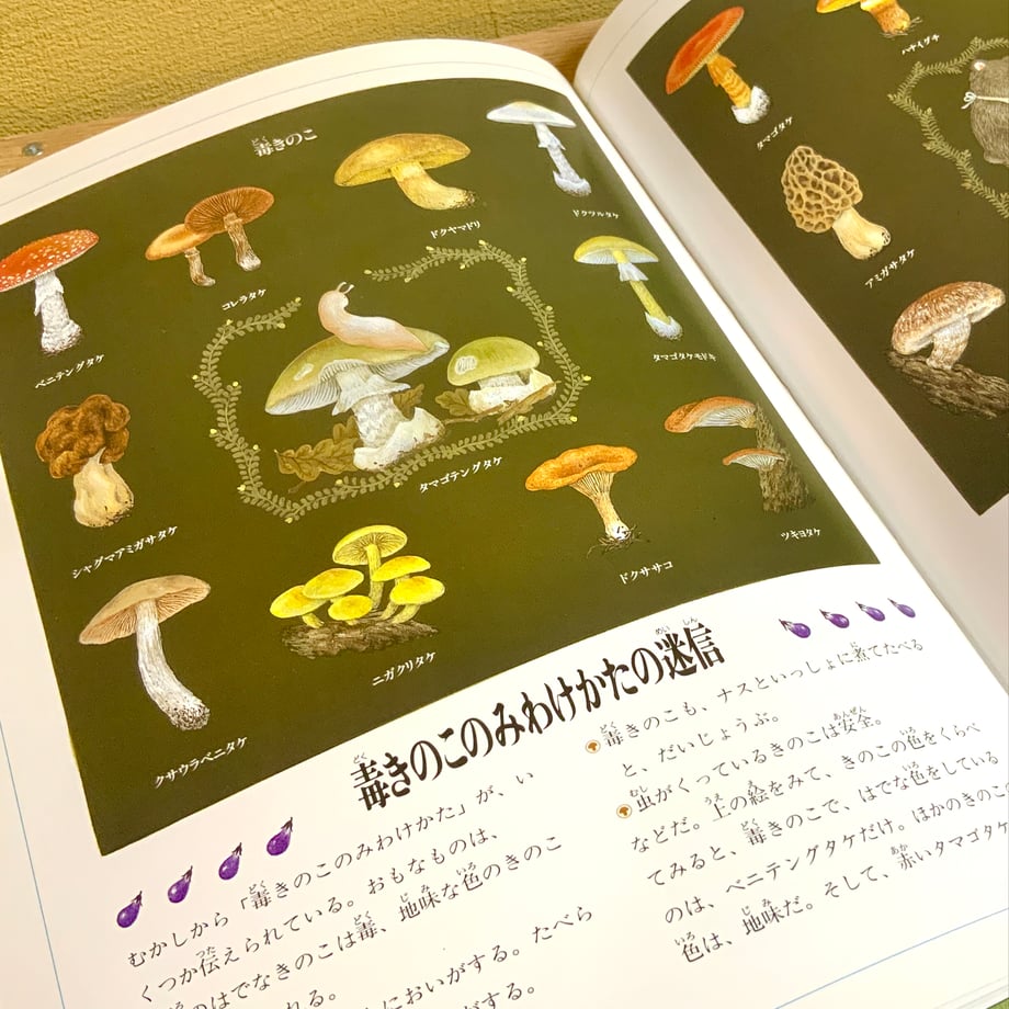 66c5a41d162c12028c597e46