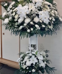 胡蝶蘭セレモニースタンドフラワー［2段］