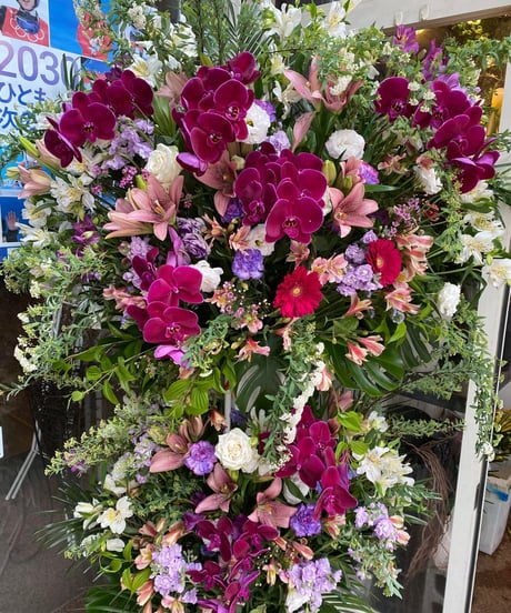 豪華胡蝶蘭スタンド花