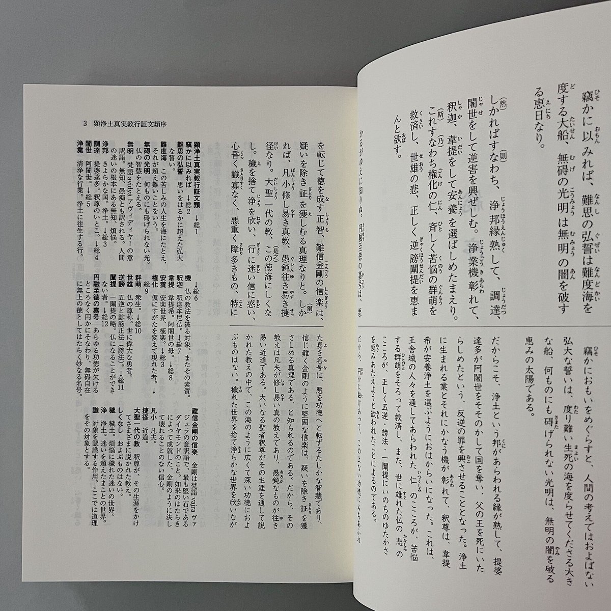 解読 教行信証(上巻) 親鸞聖人を世界に | 光 輪 社