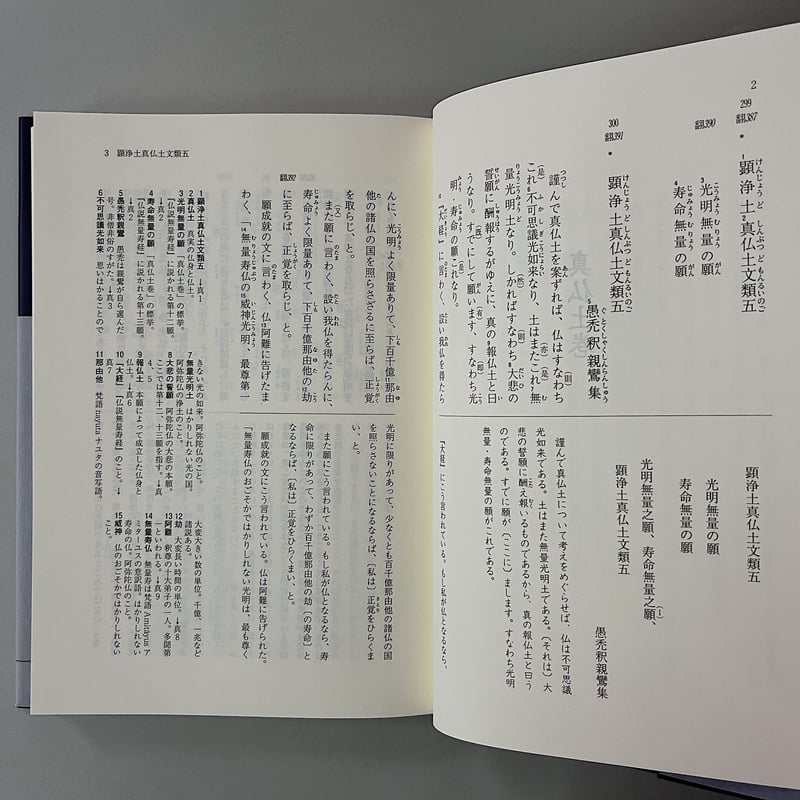 解読 教行信証(下巻) 親鸞聖人を世界に | 光 輪 社