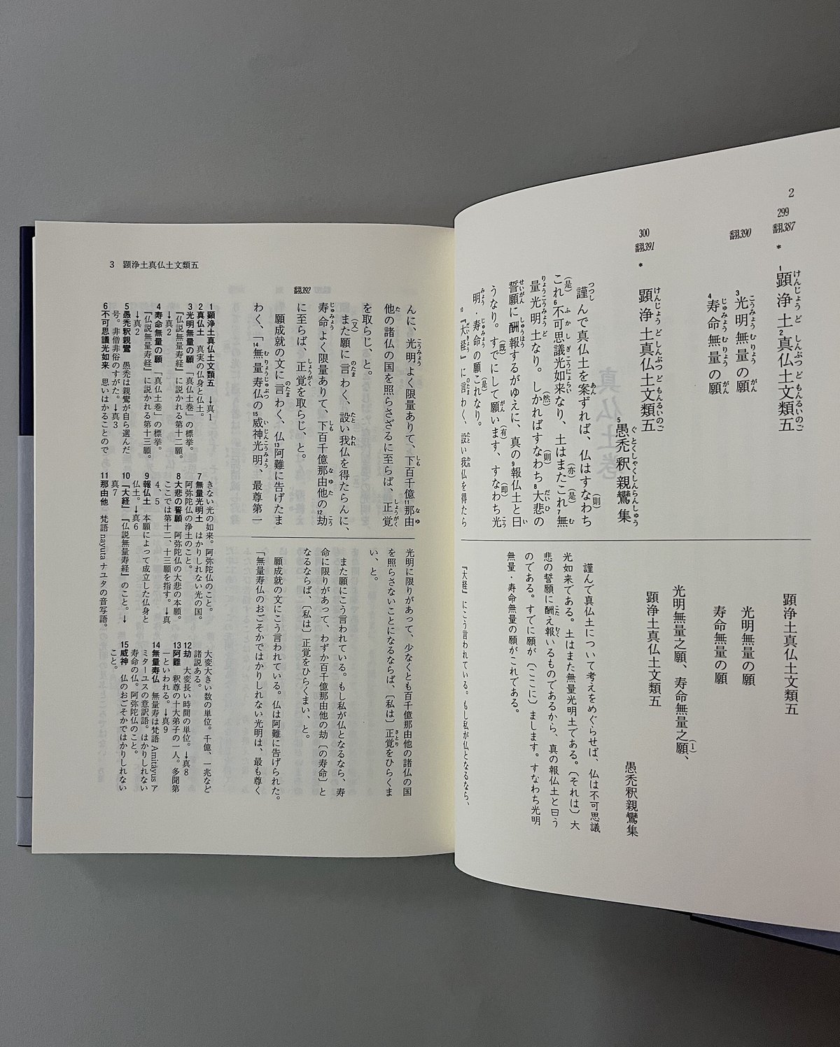解読 教行信証(下巻) 親鸞聖人を世界に | 光 輪 社 解読 教行信証(下巻) 親鸞聖人を世界に | 光 輪 社