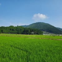 ＜単発5kg＞令和7年度新米予約-かみきち米