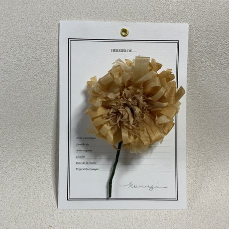 かんな屑のお花のコサージュ＿組ム木工房