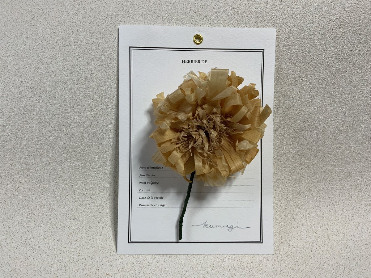 ヒノキの鉋屑のコサージュ 【公式通販】