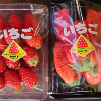 いちごｰやまもとberryふぁ〜む