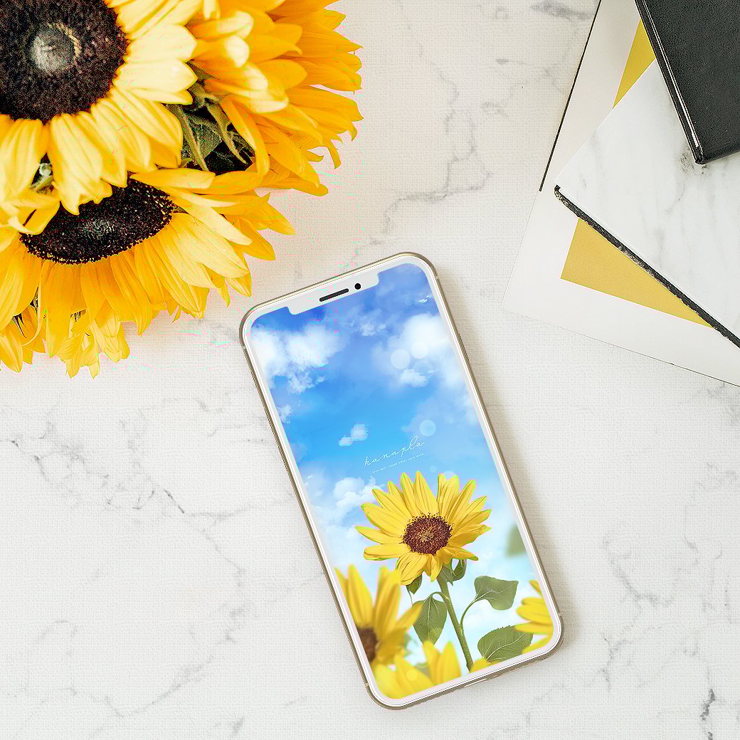 笑顔咲く🌻ひまわりと快晴ブルー】心晴れやかになる夏空と向日葵の