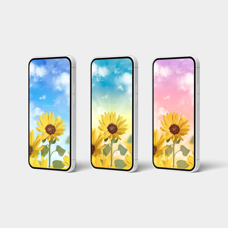 笑顔咲く🌻ひまわりと快晴ブルー】心晴れやかになる夏空と向日葵の