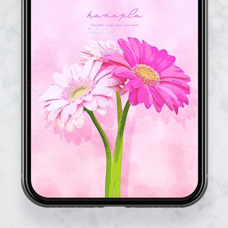 復縁成就の3本ピンクガーベラ・愛の誓い＋数字32】🌸「愛しています